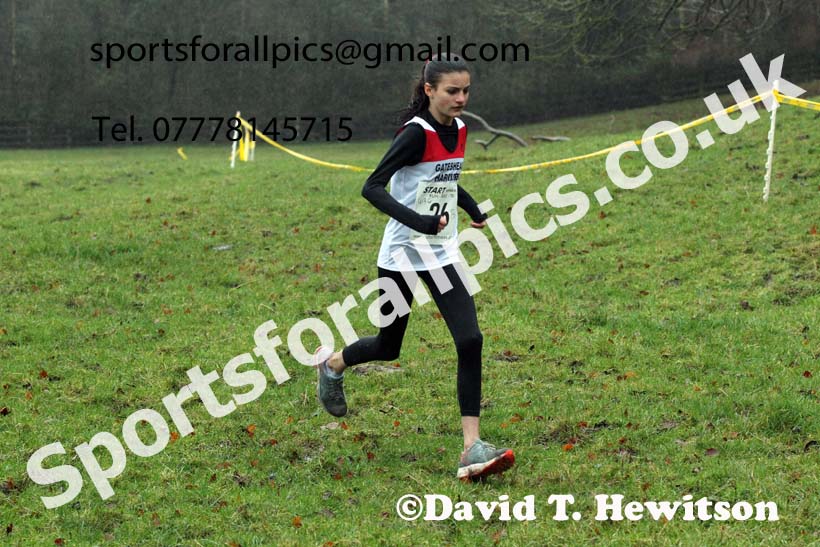 Girls under-13s, NECAA Junior Cross Country Relays, Thornley Farm, Peterlee, Saturday, December 12th. Photo: David T. Hewitson/Sports for All Pics